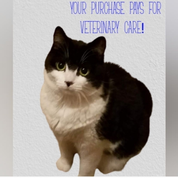 Meet your Posher, Adrienne - Picture 11 of 16